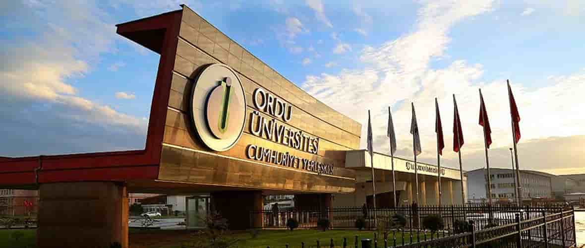 University view of Ordu University