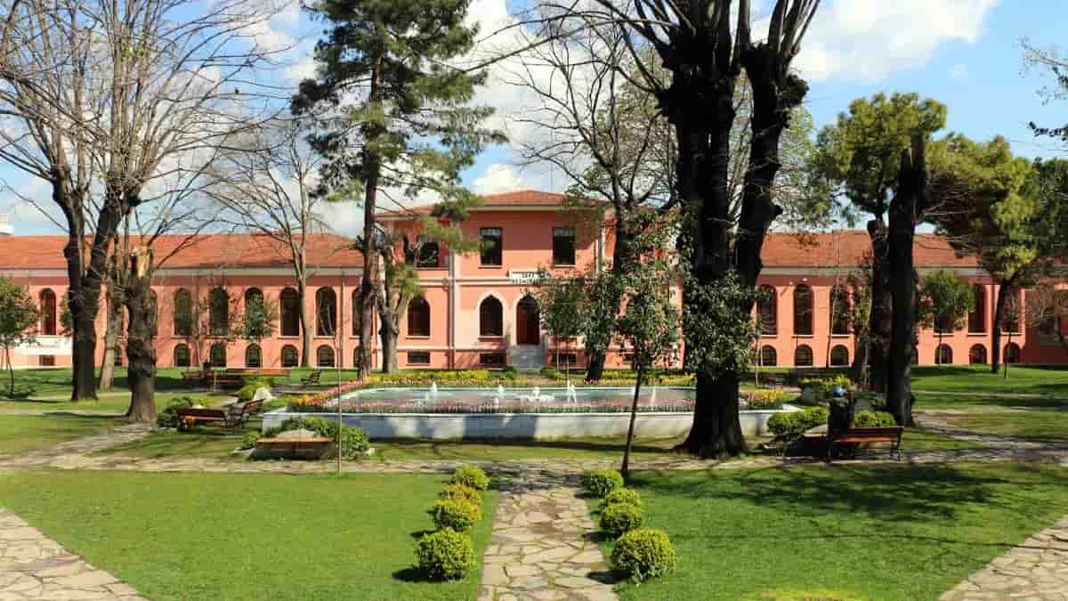 University view of Chuo Kikuu cha Bezmialem