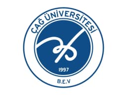 Университет Çağ