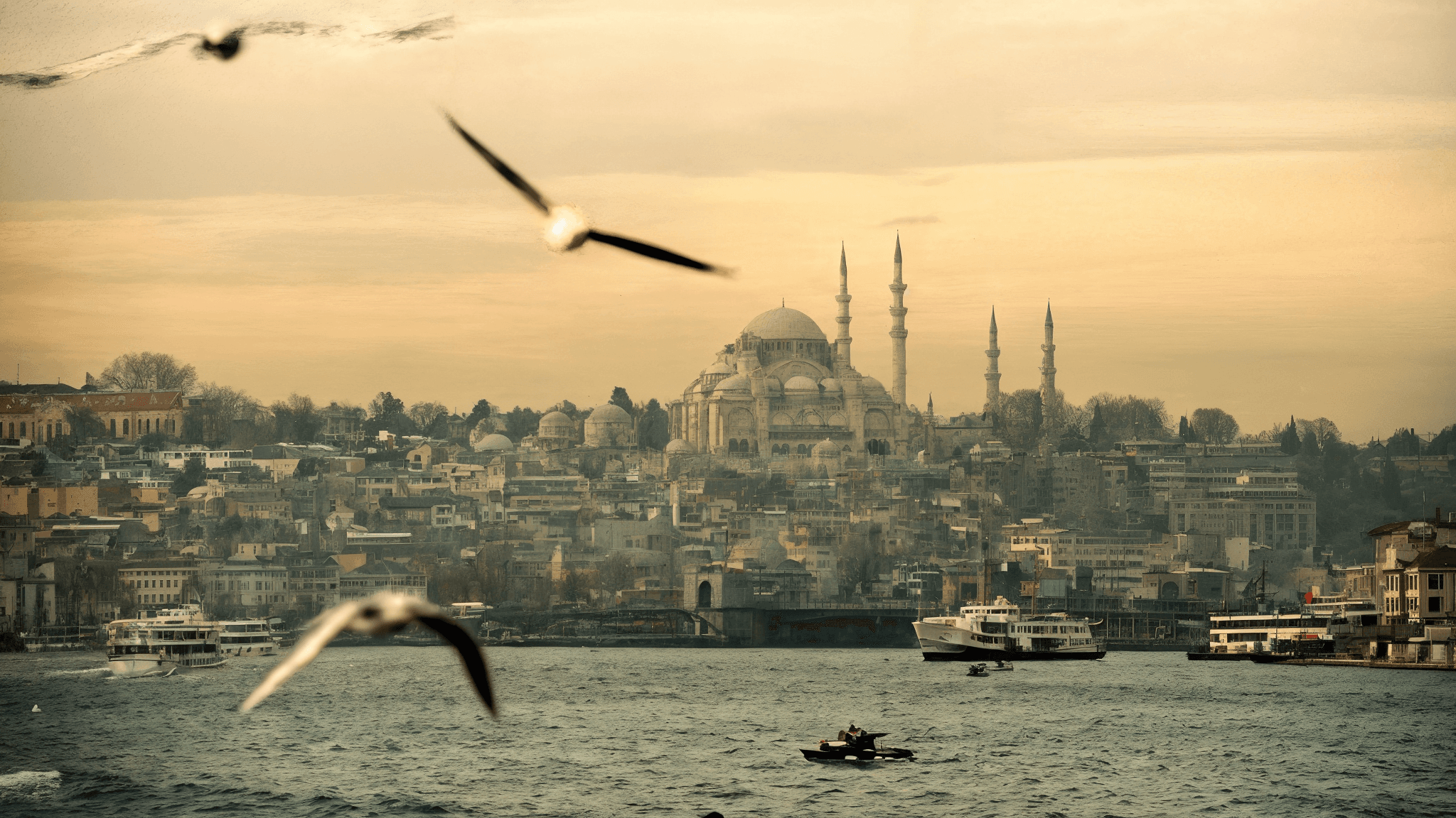 Government University in Turkey: Complete Guide for International Students