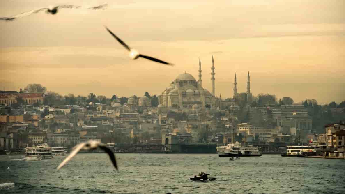 Government University in Turkey: Complete Guide for International Students