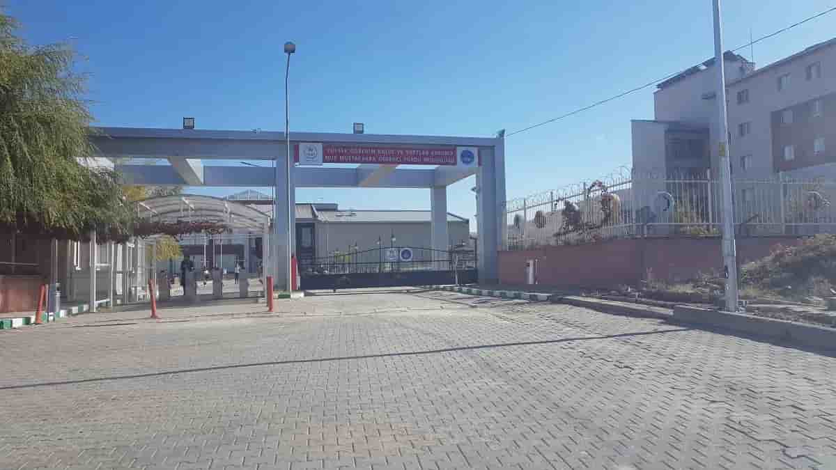 بەرگەی خەوەری قوتابیی موش موشتاک بابا dormitory