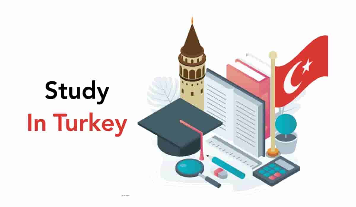 PHD ee Turkiga: Qaab-dhismeedka Waxbarashada, Fursadaha