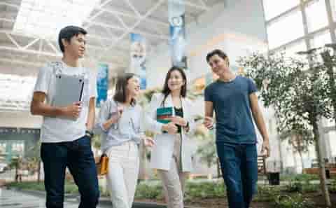 Учёба в Турции для казахов: Академические программы, предлагаемые степени