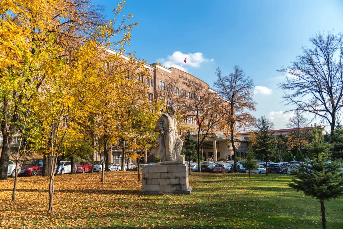 Top 10 Universities In Ankara: Capital Campus Picks