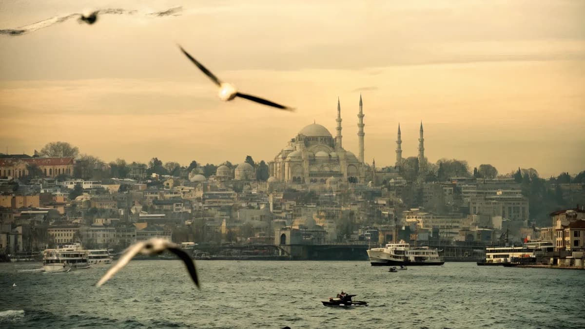 Government University in Turkey: Complete Guide for International Students