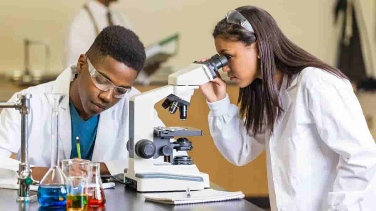 Study Biology in Turkey: Programs, Opportunities